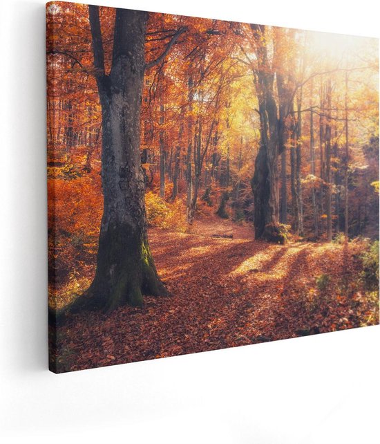 Artaza Canvas Schilderij Oranje Herfstbos Met Zonneschijn - 50x40 - Foto Op Canvas - Canvas Print