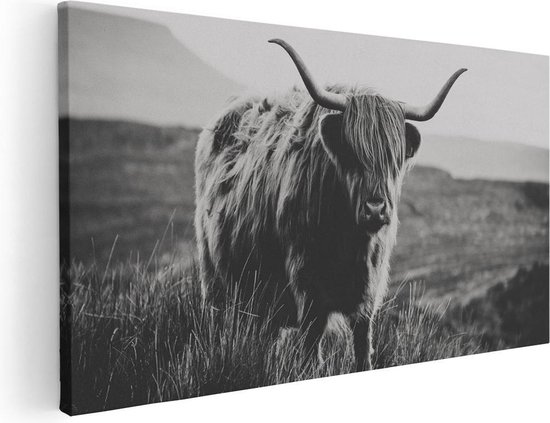 Artaza - peinture sur toile - vache Highlander écossais - Zwart Wit - 100 x 50 - Groot - photo sur toile - impression sur toile