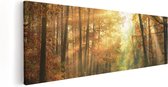 Artaza - Peinture sur toile - Forêt d'automne avec soleil - 120 x 40 - Groot - Photo sur toile - Impression sur toile