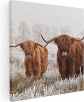 Artaza Canvas Schilderij Twee Schotse Hooglander Koeien In De Wei - 70x70 - Foto Op Canvas - Canvas Print