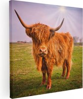 Artaza Canvas Schilderij Bruine Schotse Hooglander Koe - Kleur - 60x60 - Foto Op Canvas - Canvas Print