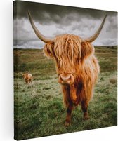 Artaza Canvas Schilderij Schotse Hooglanders In De Wei - Kleur - 60x60 - Foto Op Canvas - Canvas Print