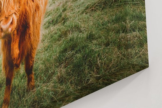 Artaza - Peinture sur toile - Highlanders écossais dans le pâturage - Couleur - 30x20 - Klein - Photo sur toile - Impression sur toile