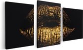 Artaza Canvas Schilderij Drieluik Gouden Lippen - 120x60 - Foto Op Canvas - Canvas Print