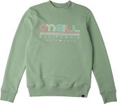 O'Neill Trui All Year Crew Sweatshirt - Blauwgroen - 104