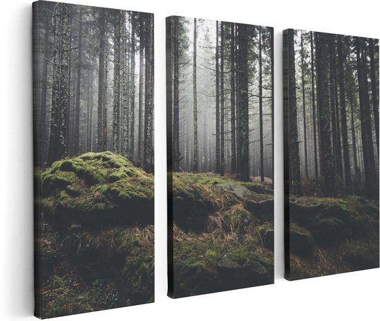 Artaza - Triptyque de peinture sur toile - Forêt avec mousse sur rochers - 120x80 - Photo sur toile - Impression sur toile