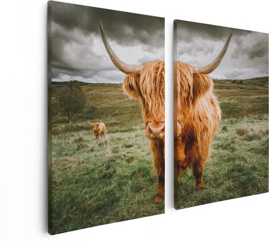 Artaza Canvas Schilderij Tweeluik Schotse Hooglanders In De Wei - Kleur - 80x60 - Foto Op Canvas - Canvas Print