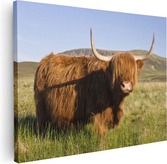 Artaza - Peinture sur toile - Vache Highlander écossaise - Couleur - 80x60 - Photo sur toile - Impression sur toile
