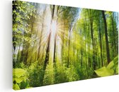 Artaza Canvas Schilderij Weg Omringd Met Bomen In Het Bos - 60x30 - Foto Op Canvas - Canvas Print