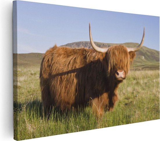 Artaza - Peinture sur toile - Scottish Highlander Cow - Couleur - 120 x 80 - Groot - Photo sur toile - Impression sur toile