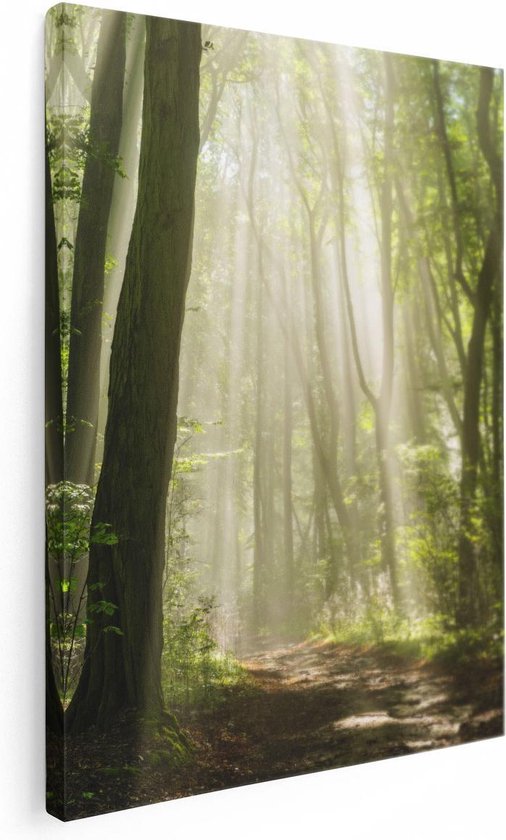 Artaza Canvas Schilderij Bos Met Bomen En Zonneschijn - 30x40 - Klein - Foto Op Canvas - Canvas Print