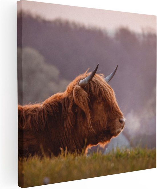 Artaza Canvas Schilderij Schotse Hooglander Koe Ligt In Het Gras - 90x90 - Groot - Foto Op Canvas - Canvas Print