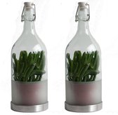 Duo Message in a bottle ↨ 14cm - 2 stuks - hoge kwaliteit planten