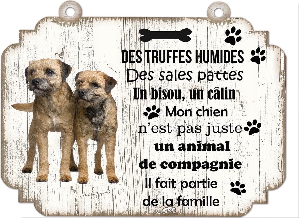 Tableau Déco - Border Terrier