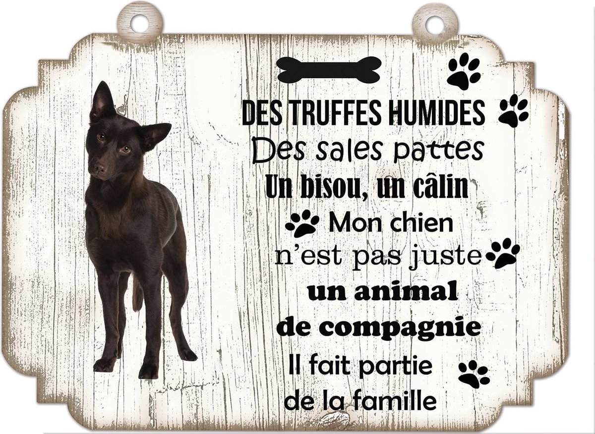 Tableau Déco - Austrailian Celpie
