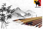 Hobby Bokkie - 11 authentieke bamboe en hout detail penselen - kwasten voor Chinese Kalligrafie - Japans Sumi schilderen - Inclusief Winsor en Newton 14 ml inkt cadeau idee - modelbouw, aquar