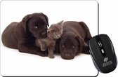 2 zwarte labrador pups met kitten Muismat