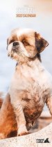 Shih Tzu Kalender 2022 Slimline
