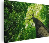 Artaza Canvas Schilderij Boom In Het Bos Met Fel Groene Bladeren - 120x80 - Groot - Foto Op Canvas - Wanddecoratie Woonkamer