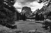 Walljar - Wyoming Forest - Zwart wit poster.