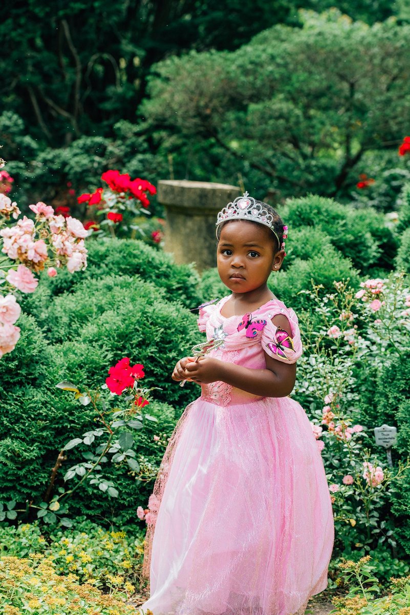Het Betere Merk prinsessenjurk meisje - carnavalskleding - Roze vlinders - Verkleedkleren meisje - Maat 122/128 - Accessoires - Roze jurk — afbeelding 3