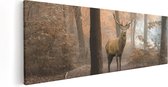 Artaza - Peinture sur toile - Cerf dans la forêt - Automne - 60x20 - Photo sur toile - Impression sur toile