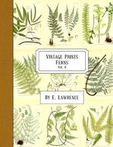 Vintage Prints: Ferns