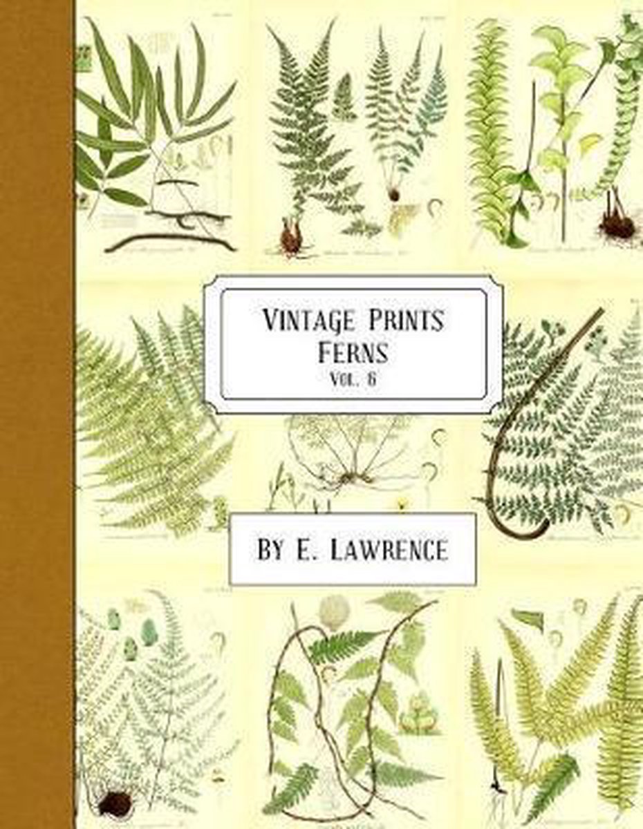 Vintage Prints van C.H. Lawrence