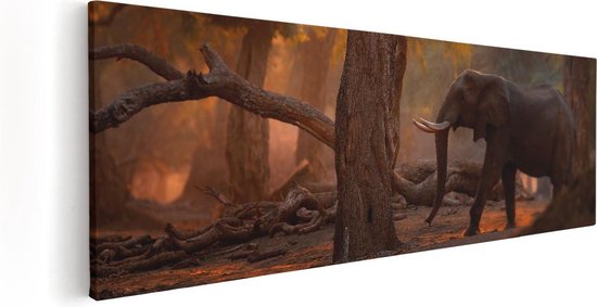 Artaza Canvas Schilderij Olifant In het Bos - 60x20 - Foto Op Canvas - Canvas Print