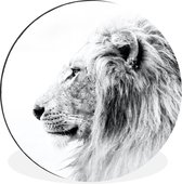 WallCircle - Tableau - Lion Xxl - Multicolore - 120 X 120 Cm