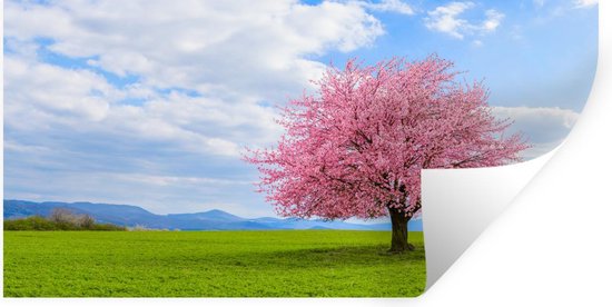 Stickers muraux - Sakura - Couleurs - Printemps - 80x40 cm - Feuille adhésive
