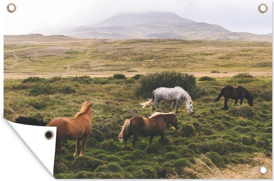 Tuinposter - Tuindoek - Tuinposters buiten - Paarden - IJsland - Bruin - 120x80 cm - Tuin