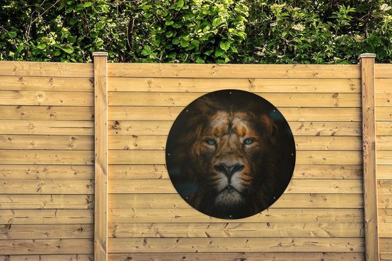 Animaux du Cercle de Jardin - Lion - Prédateur - 120x120 cm - Affiche de Jardin Ronde - Extérieur - XXL