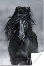 Poster Paard - Grijs - Zwart - 20x30 cm