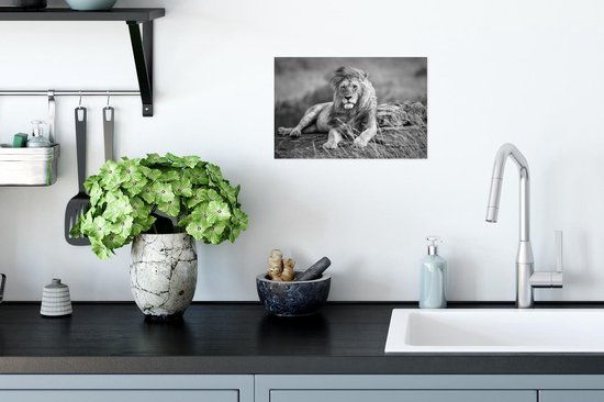 Poster Lions - Sauvages - Zwart - Wit - 30x20 cm