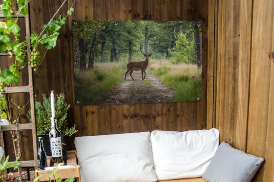 Affiche de jardin Forêt - Cerf - Arbres - 120x80 cm - Jardin