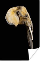 Poster Olifant - Kop - Zwart - 20x30 cm