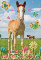 Hartelijk gefeliciteerd! Een kleurrijke wenskaart met een paard in het gras. Omringt door vlinders en bloemen. Een dubbele wenskaart inclusief envelop en in folie verpakt.
