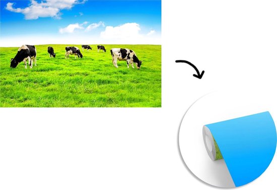 Papier peint - Papier peint photo Vache - Herbe - Ciel - Largeur 390 cm x Hauteur 260 cm