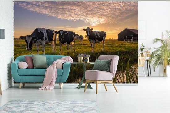 Papier peint - Papier peint photo Vache - Animal - Pâturage - Largeur 390 cm x hauteur 260 cm