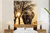 Behang - Fotobehang Olifant - Boom - Zon - Breedte 225 cm x hoogte 350 cm