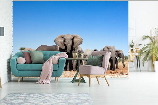 Papier peint - Papier peint photo Éléphants - Animaux - Water - Largeur 390 cm x hauteur 260 cm