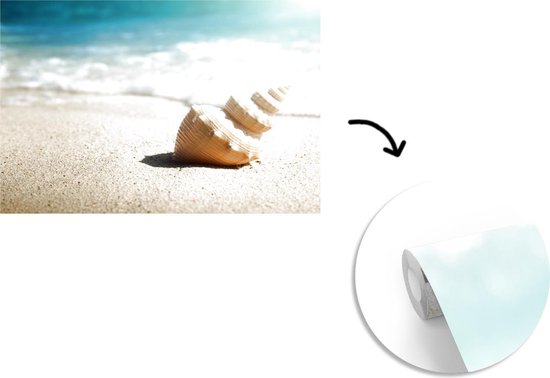 Papier peint - Papier peint photo Coquillage - Plage - Mer - Largeur 420 cm x hauteur 280 cm
