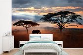 Behang - Fotobehang Olifant - Boom - Berg - Afrika - Breedte 360 cm x hoogte 240 cm