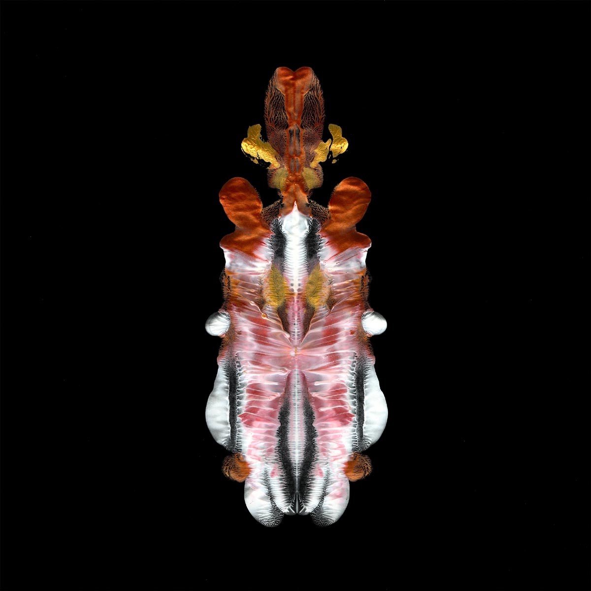 Scraps Of Tape - The Will To Burn (CD)