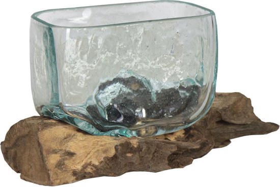 Plantenwinkel.nl Decowood Glass G Rectangle 13x9x10 cm vase en verre rectangulaire sur souche S décoration