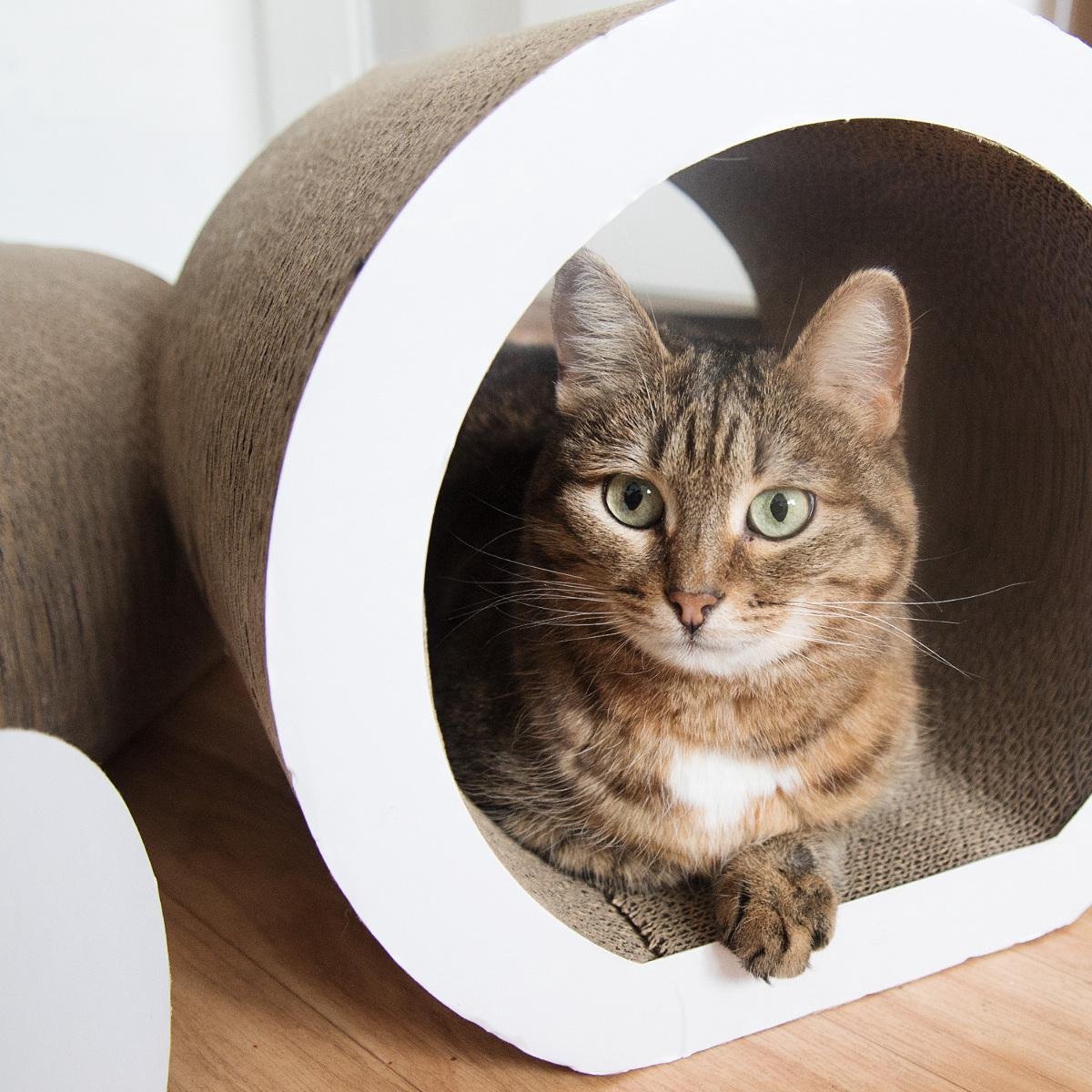 Navaris Krabkartonnenset Voor Katten - 3 Delige Set Met 2 Tunnels En 1 Rol - Natuurlijk Krab- En Speelplezier