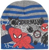 Grijs - blauw gestreepte muts van Spiderman maat 52 cm