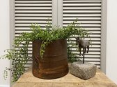 Stoere industriële oude ijzeren bloempot
