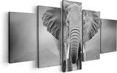 Artaza Canvas Schilderij Vijfluik Olifant - Zwart Wit - 100x50 - Foto Op Canvas - Canvas Print